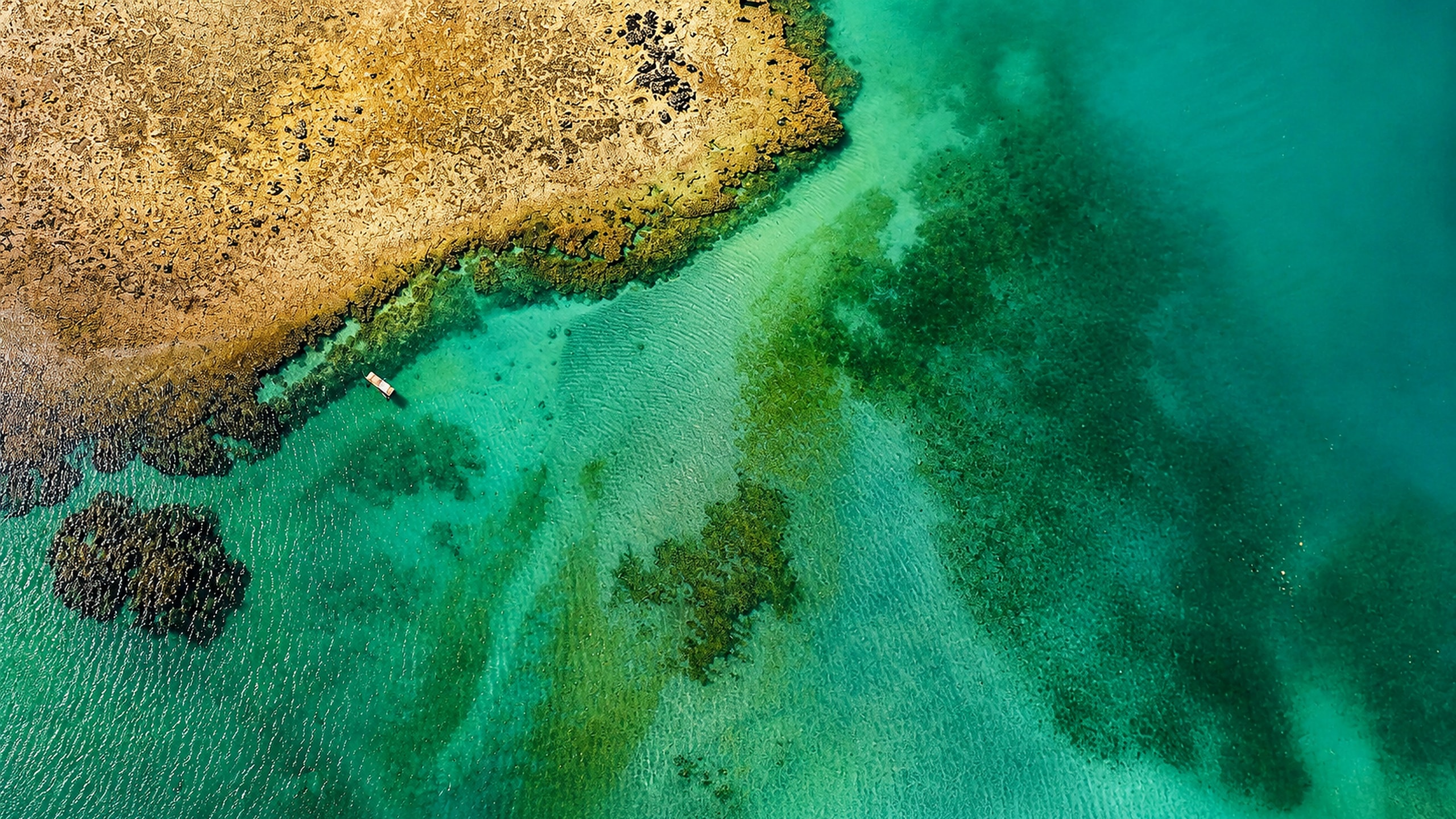 Barra de São Miguel, Alagoas